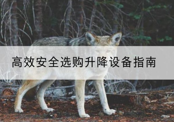 香格里拉升降货梯厂家推荐-*安全选购升降设备指南