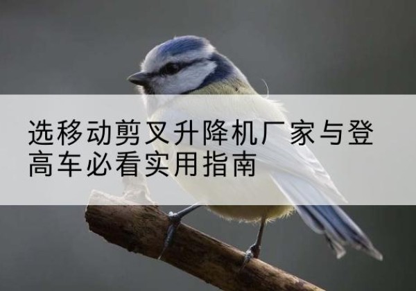 香格里拉电动升降机厂家-选移动剪叉升降机厂家与登高车必看实用指南